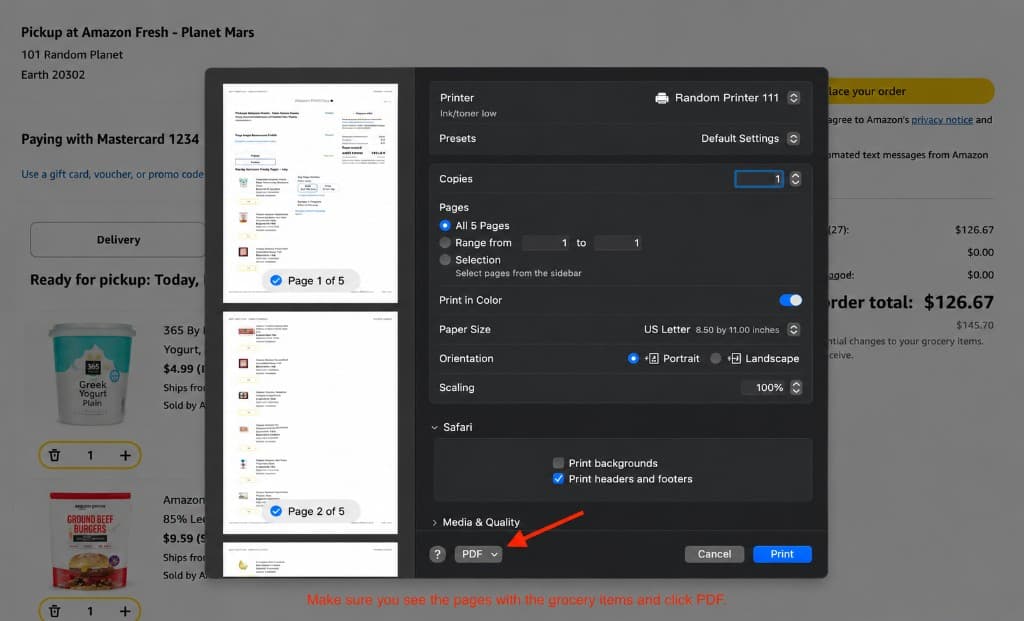 Safari print dialog with page preview and PDF button